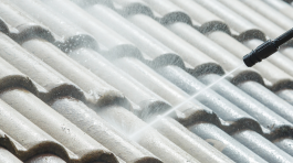 Voorbeeld dakreiniging 2